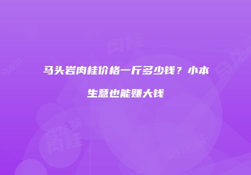 马头岩肉桂价格一斤多少钱？小本生意也能赚大钱