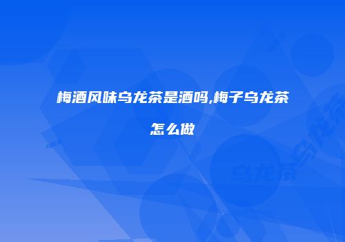 梅酒风味乌龙茶是酒吗,梅子乌龙茶怎么做