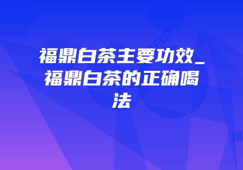 福鼎白茶主要功效_福鼎白茶的正确喝法