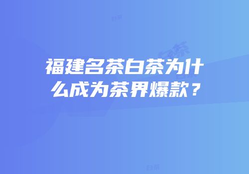 福建名茶白茶为什么成为茶界爆款？