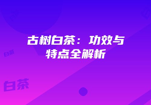 古树白茶：功效与特点全解析