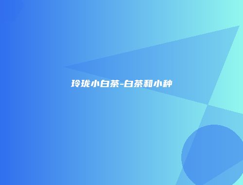 玲珑小白茶-白茶和小种