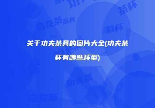 关于功夫茶具的图片大全(功夫茶杯有哪些杯型)