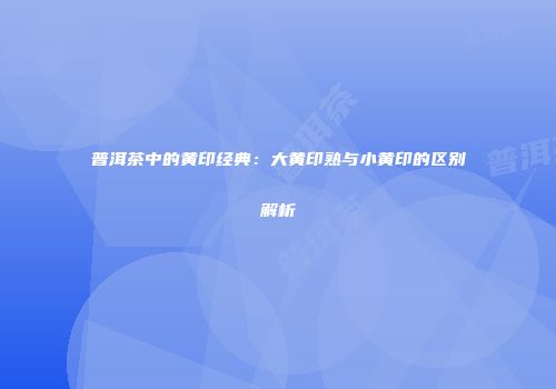普洱茶中的黄印经典：大黄印熟与小黄印的区别解析