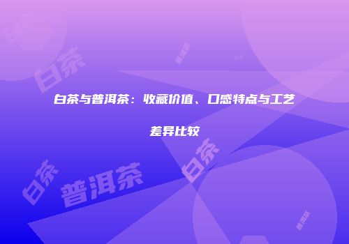 白茶与普洱茶：收藏价值、口感特点与工艺差异比较
