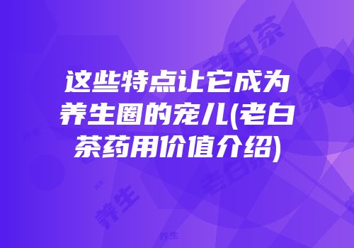 这些特点让它成为养生圈的宠儿(老白茶药用价值介绍)