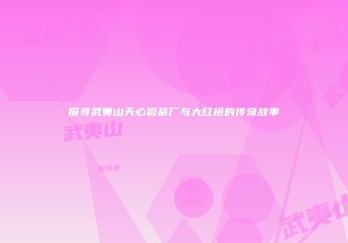 探寻武夷山天心岩茶厂与大红袍的传奇故事