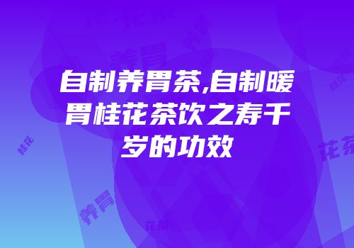 自制养胃茶,自制暖胃桂花茶饮之寿千岁的功效