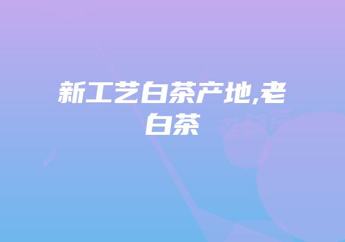 新工艺白茶产地,老白茶