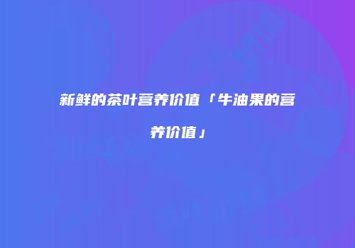 新鲜的茶叶营养价值「牛油果的营养价值」
