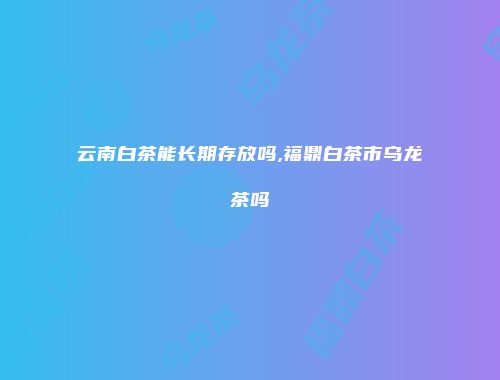 云南白茶能长期存放吗,福鼎白茶市乌龙茶吗