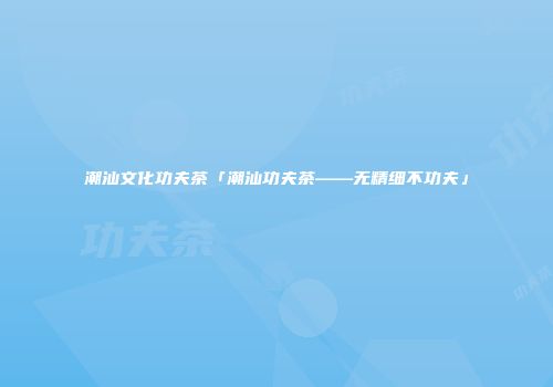 潮汕文化功夫茶「潮汕功夫茶——无精细不功夫」