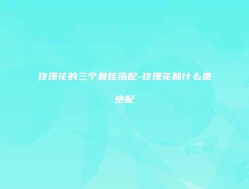 玫瑰花的三个最佳搭配-玫瑰花和什么是绝配