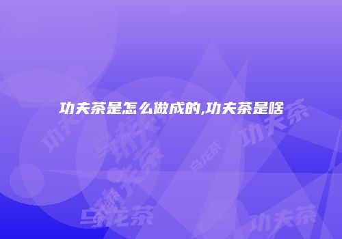 功夫茶是怎么做成的,功夫茶是啥