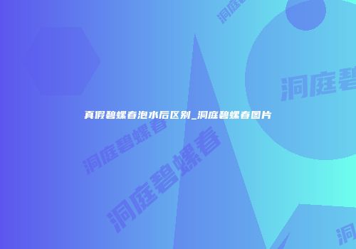真假碧螺春泡水后区别_洞庭碧螺春图片