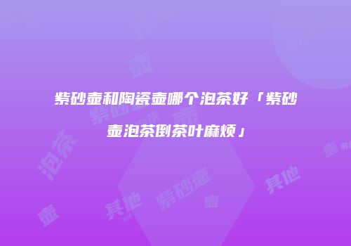 紫砂壶和陶瓷壶哪个泡茶好「紫砂壶泡茶倒茶叶麻烦」