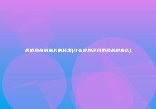 最适合茶树生长的环境(什么样的环境适合茶树生长)