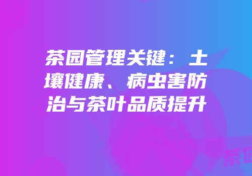 茶园管理关键：土壤健康、病虫害防治与茶叶品质提升