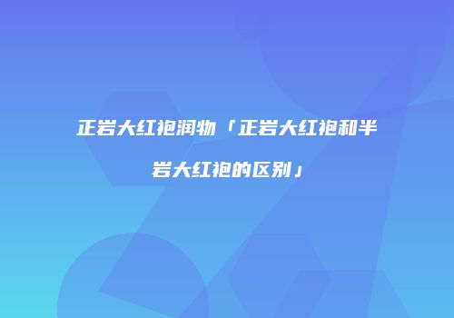 正岩大红袍润物「正岩大红袍和半岩大红袍的区别」
