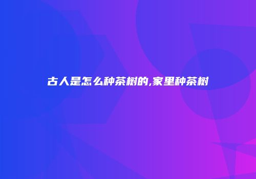 古人是怎么种茶树的,家里种茶树