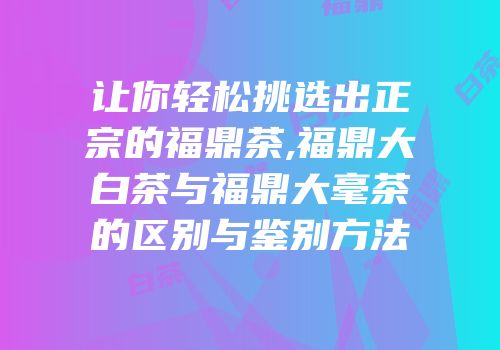 让你轻松挑选出正宗的福鼎茶,福鼎大白茶与福鼎大毫茶的区别与鉴别方法