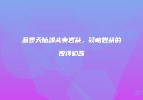 品尝天仙峰武夷岩茶，领略岩茶的独特韵味