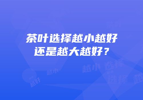茶叶选择越小越好还是越大越好？