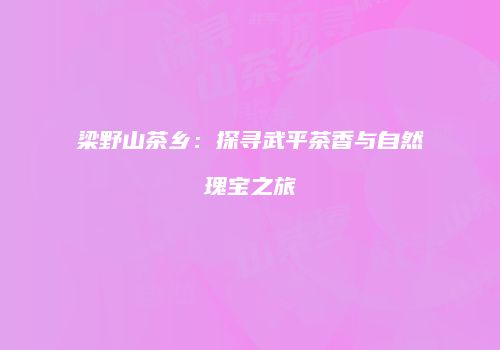梁野山茶乡：探寻武平茶香与自然瑰宝之旅