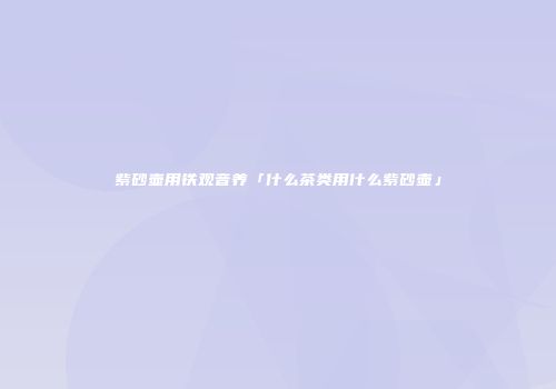 紫砂壶用铁观音养「什么茶类用什么紫砂壶」