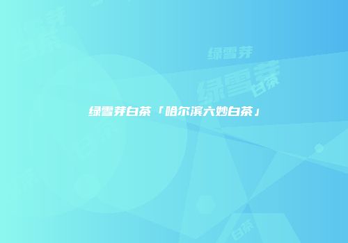 绿雪芽白茶「哈尔滨六妙白茶」