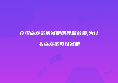 介绍乌龙茶的减肥原理和效果,为什么乌龙茶可以减肥