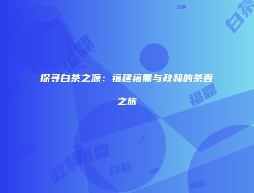 探寻白茶之源：福建福鼎与政和的茶香之旅