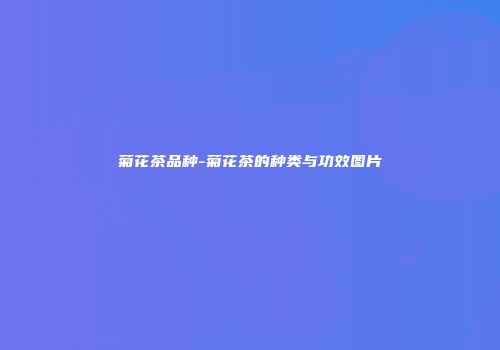 菊花茶品种-菊花茶的种类与功效图片
