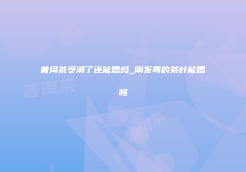 普洱茶受潮了还能喝吗_刚发霉的茶叶能喝吗