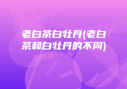 老白茶白牡丹(老白茶和白牡丹的不同)