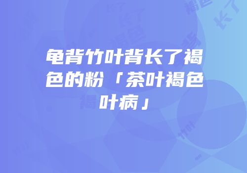 龟背竹叶背长了褐色的粉「茶叶褐色叶病」