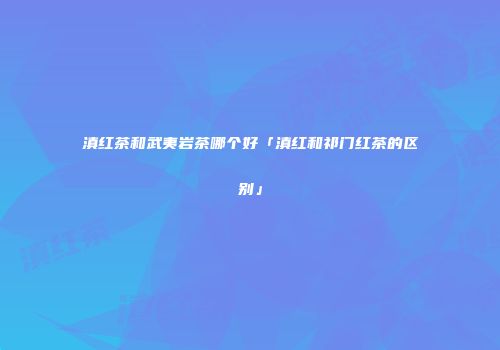 滇红茶和武夷岩茶哪个好「滇红和祁门红茶的区别」