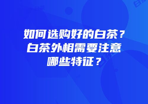 如何选购好的白茶？白茶外相需要注意哪些特征？