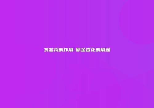 勿忘我的作用-郁金香花的用途