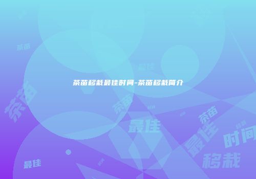 茶苗移栽最佳时间-茶苗移栽简介