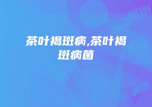 茶叶褐斑病,茶叶褐斑病菌