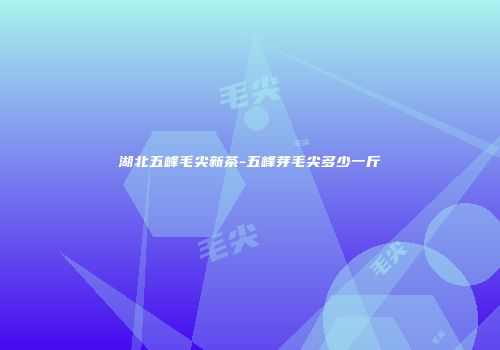 湖北五峰毛尖新茶-五峰芽毛尖多少一斤