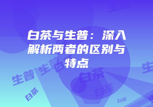 白茶与生普：深入解析两者的区别与特点