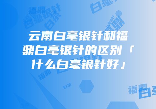 云南白毫银针和福鼎白毫银针的区别「什么白毫银针好」