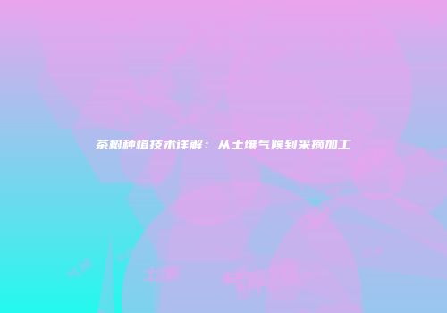茶树种植技术详解：从土壤气候到采摘加工