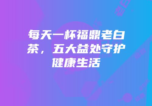 每天一杯福鼎老白茶，五大益处守护健康生活