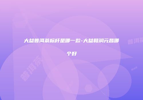 大益普洱茶标杆是哪一款-大益和润元昌哪个好