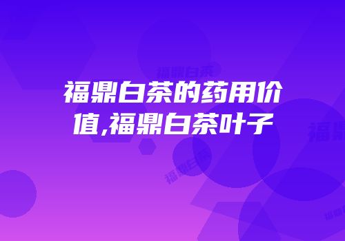 福鼎白茶的药用价值,福鼎白茶叶子