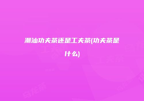 潮汕功夫茶还是工夫茶(功夫茶是什么)