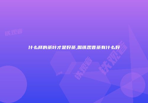 什么样的茶叶才是好茶,喝铁观音茶有什么好